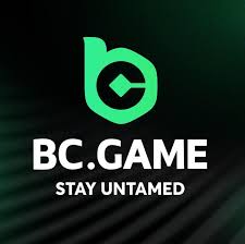 Exploring the BC.Game Betting Platform A Comprehensive Review