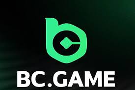 Understanding BC.Game Payments A Comprehensive Guide 888925455